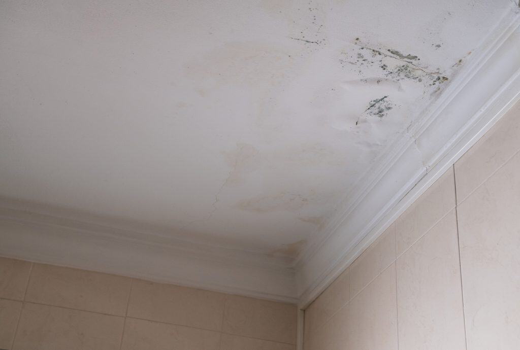 Brown water stain on painted ceiling in a Fish Hoek home